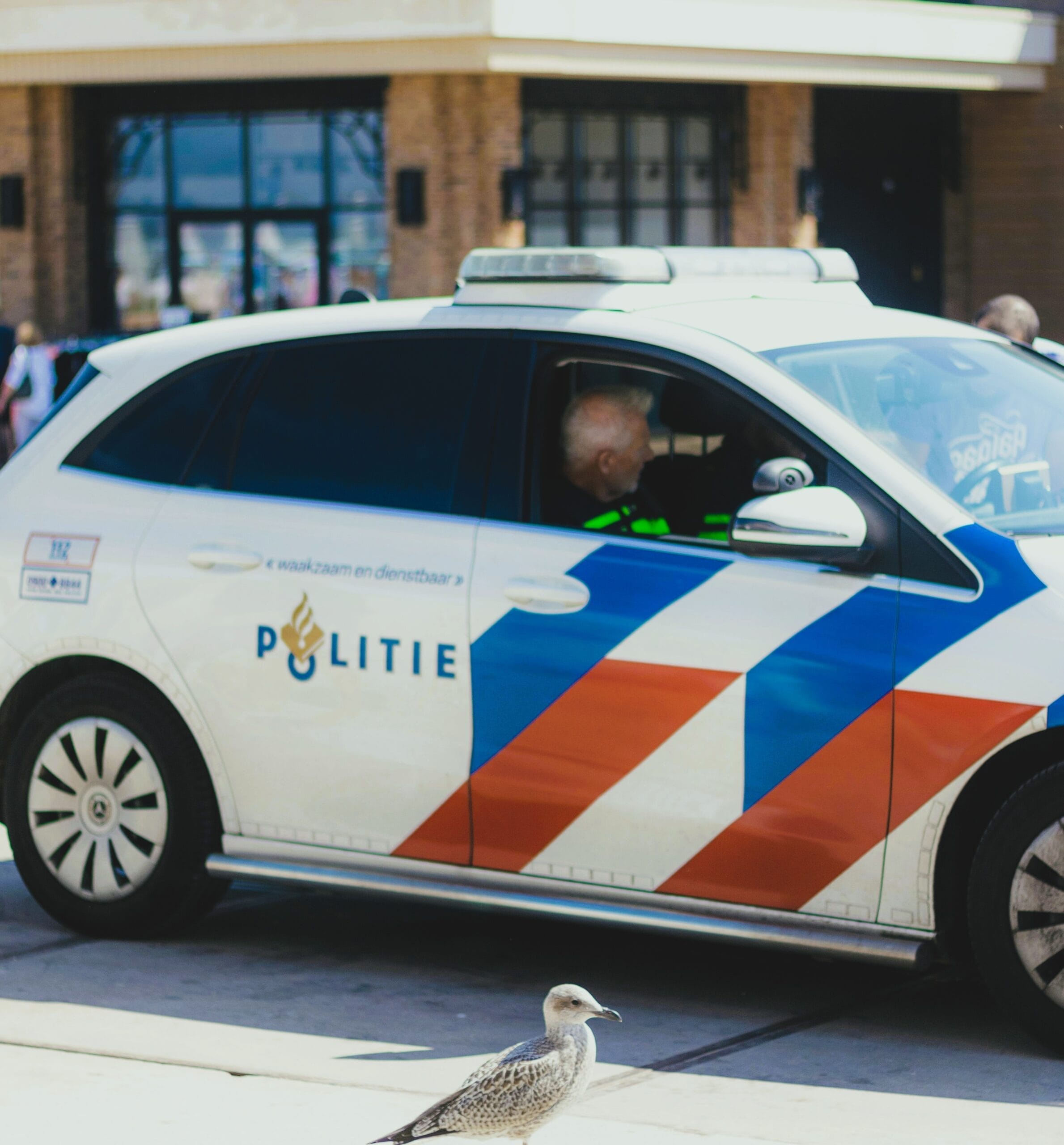 Bijstand tijdens het politieverhoor